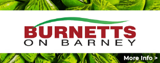 Burnetts on Barney